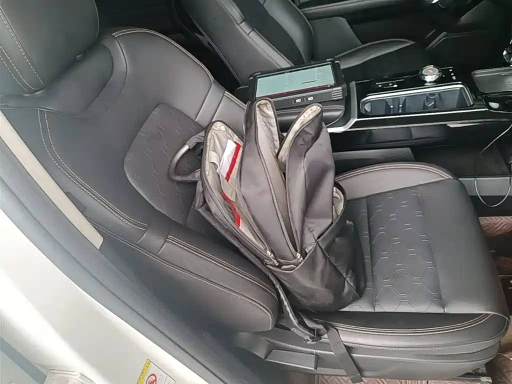 Haval Big Dog 2021 1.5T DCT 2WD Border Collie Edition фото 25