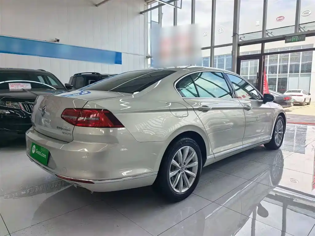 Volkswagen Magotan 2018 330TSI DSG Leading фото 13