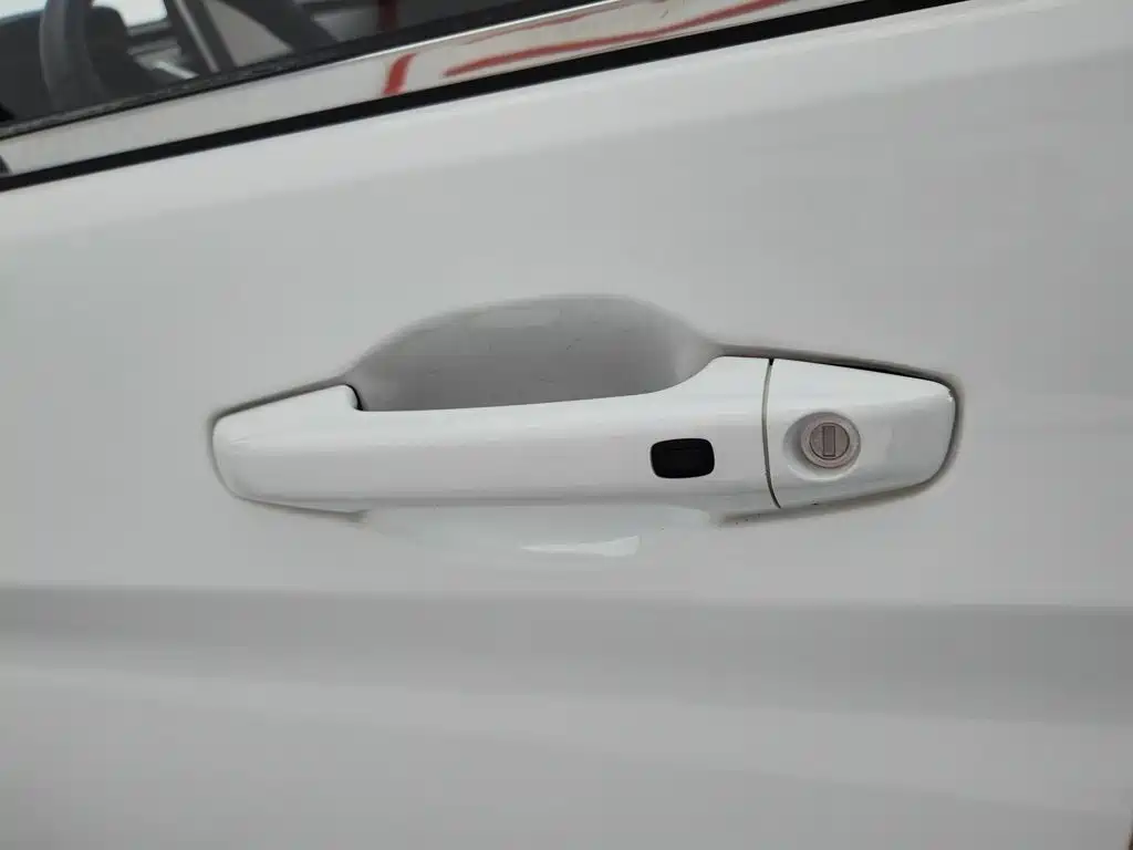 Bisu Auto Bisu T3 2021 2017 1.3T Manual Luxury