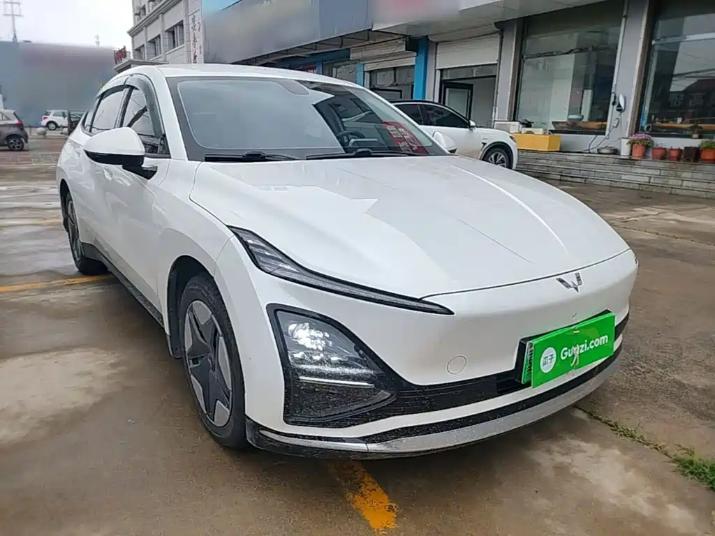 Фото 4 - Wuling Motors Wuling E5