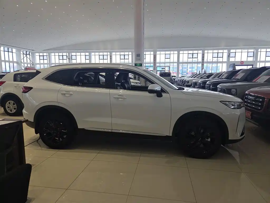 Haval H6 2021 3rd Generation 2.0T Auto 2WD Max фото 4