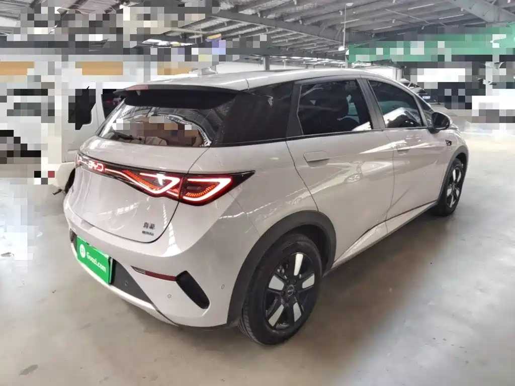 Фото 7 - BYD Dolphin