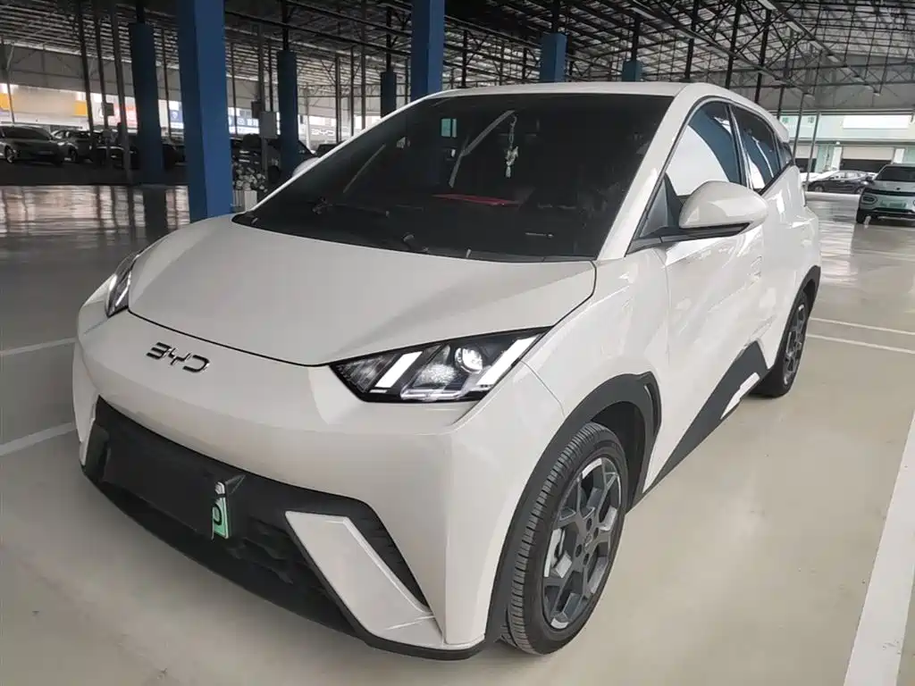 BYD Seagull 2024 Glory Edition 405km Soaring Edition фото 2