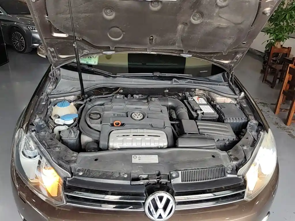 Volkswagen Golf (Import) 2011 Model 1.4TSI Luxury Touring фото 20