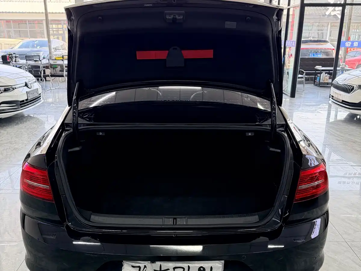 Volkswagen Magotan 2018 330TSI DSG Leading фото 10