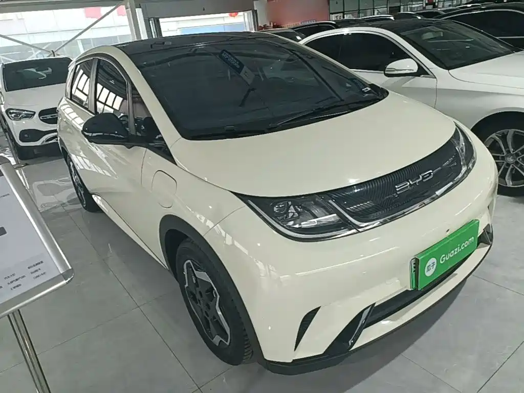 Фото 4 - BYD Dolphin
