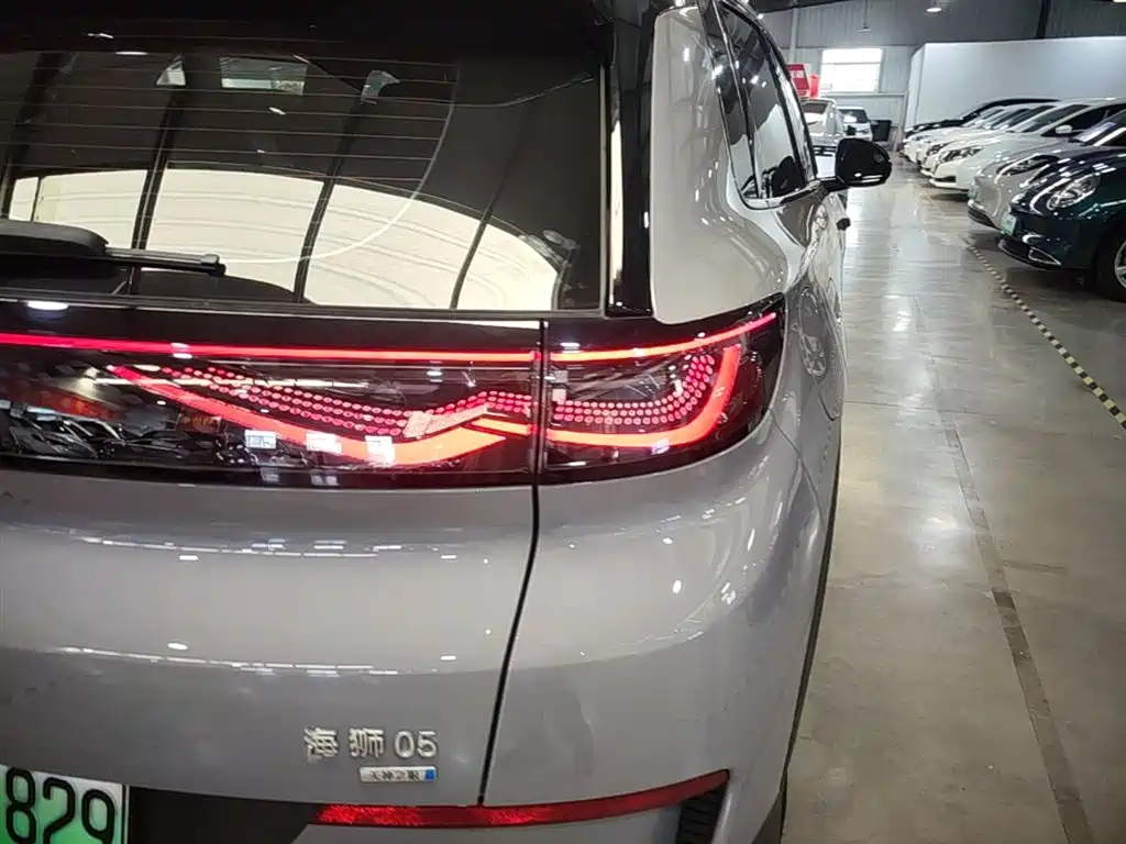BYD Hai Shi 05 EV 2025 520KM Smart Navigation Edition фото 8