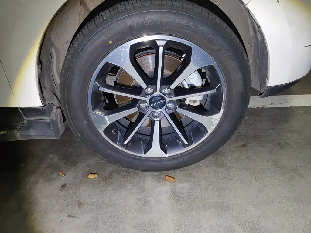 Haval F5 2020 2019 National Trend Edition 1.5T iTrend China VI