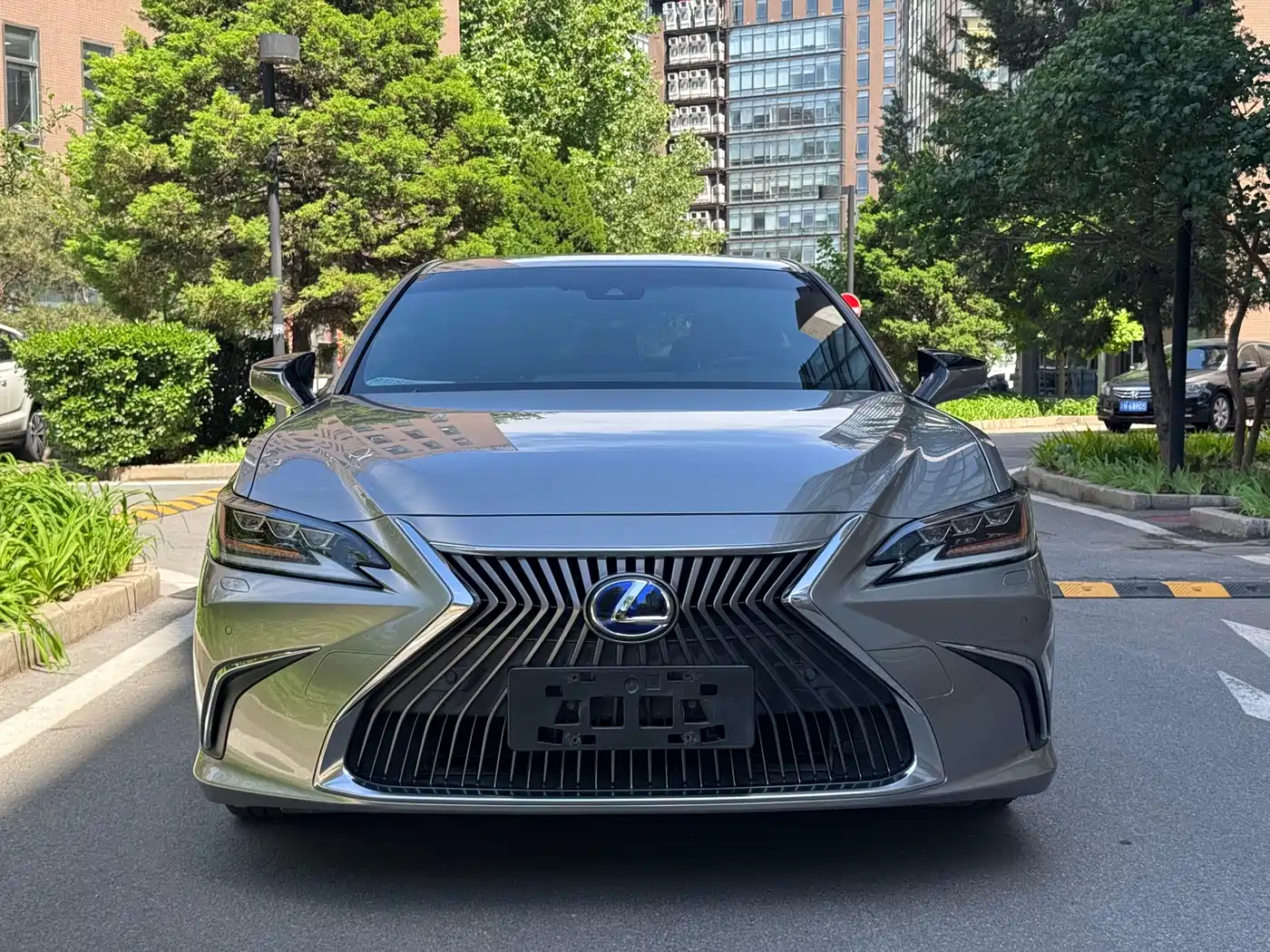 Lexus ES 2018 300h Premium Edition China V фото 2