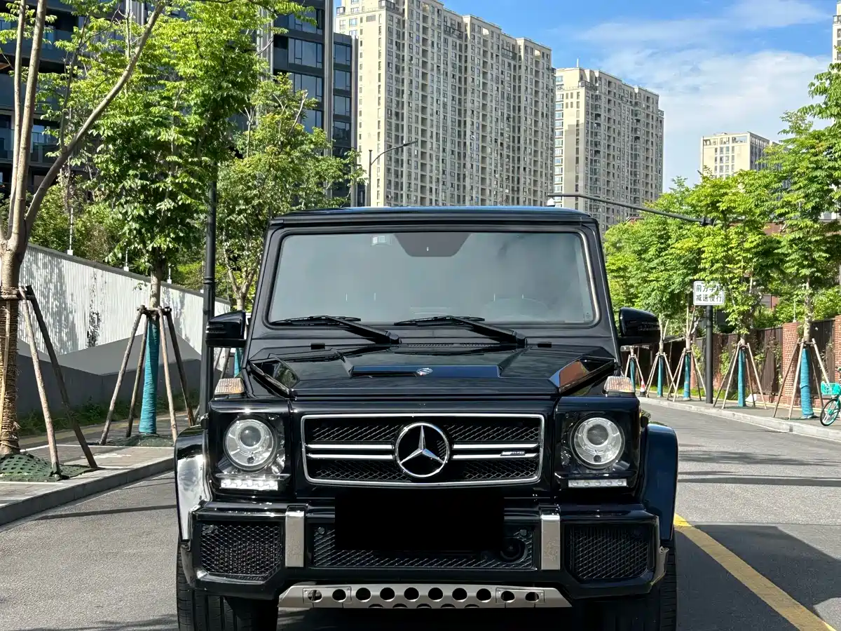 Mercedes-Benz G-Class AMG 2016 AMG G 63 фото 2