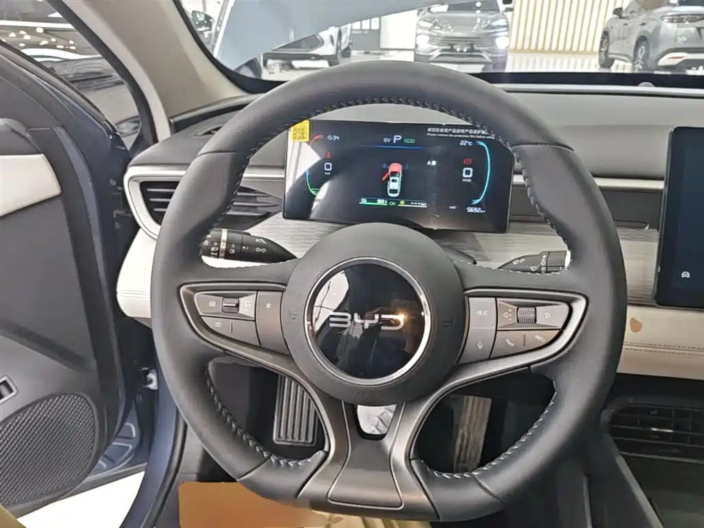 BYD Hai Bao 05 DM-i 2025 DM-i Smart Drive Edition 55KM Luxury фото 11