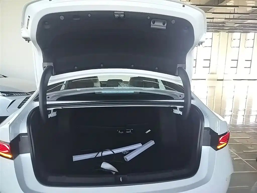 BYD Qin PLUS 2025 DM-i Smart Drive 55KM Leader фото 19