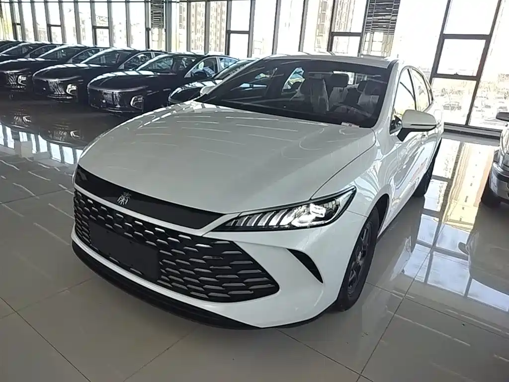 BYD Qin PLUS 2025 DM-i Smart Drive 55KM Leader