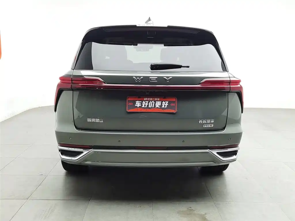 WEI PAI WEI BRAND BLUE MOUNTAIN