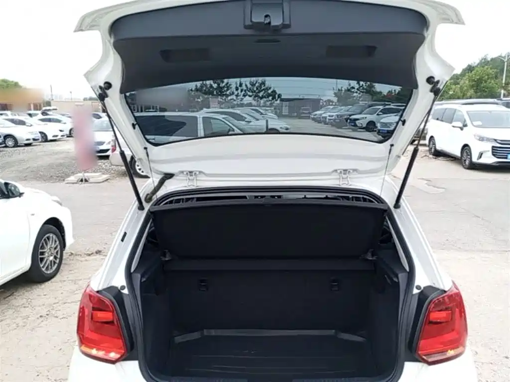 Volkswagen Polo 2018 1.5L Auto Safe Drive фото 19
