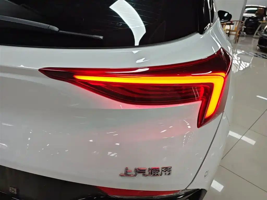 Buick Velite 6 2024 450km Premium PLUS фото 8