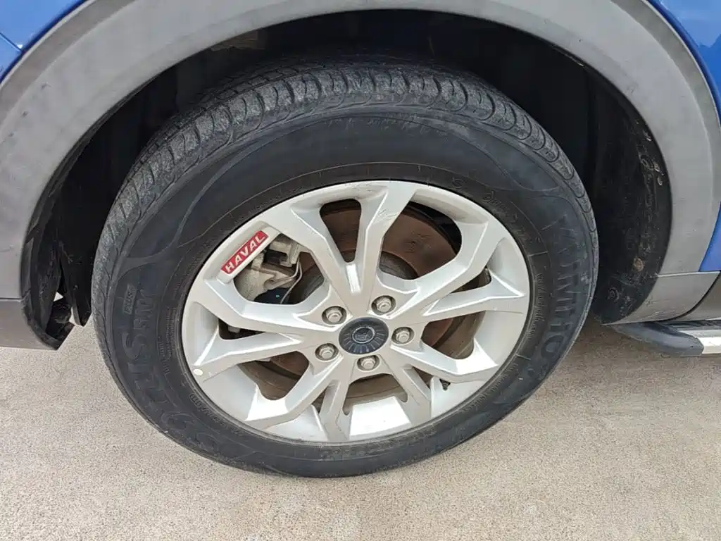 Фото 23 - Haval H2s