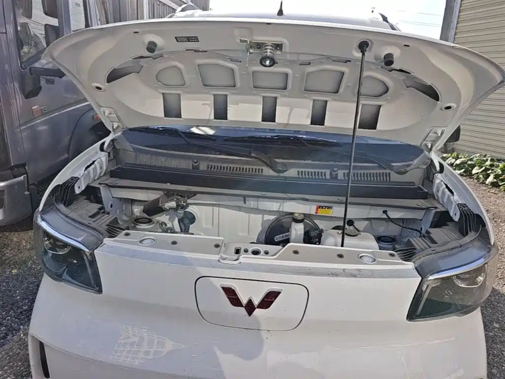 Wuling Motors Wuling Zhiguang NEV 2026 2025 Model 305km Base Version