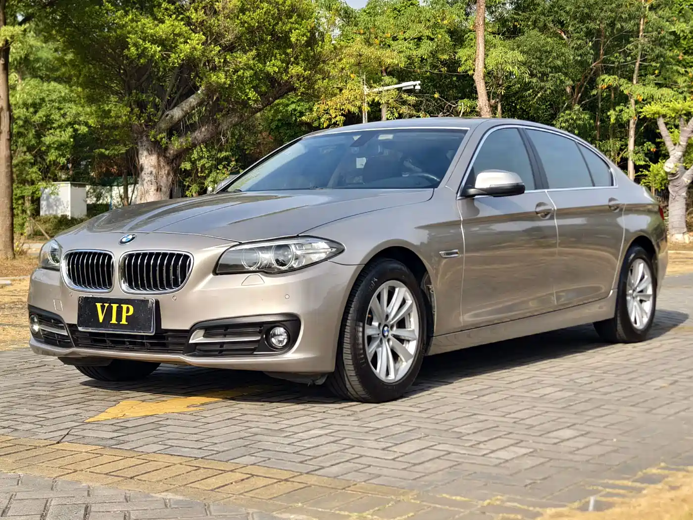 BMW 5 Series 2017 520Li Classic Edition