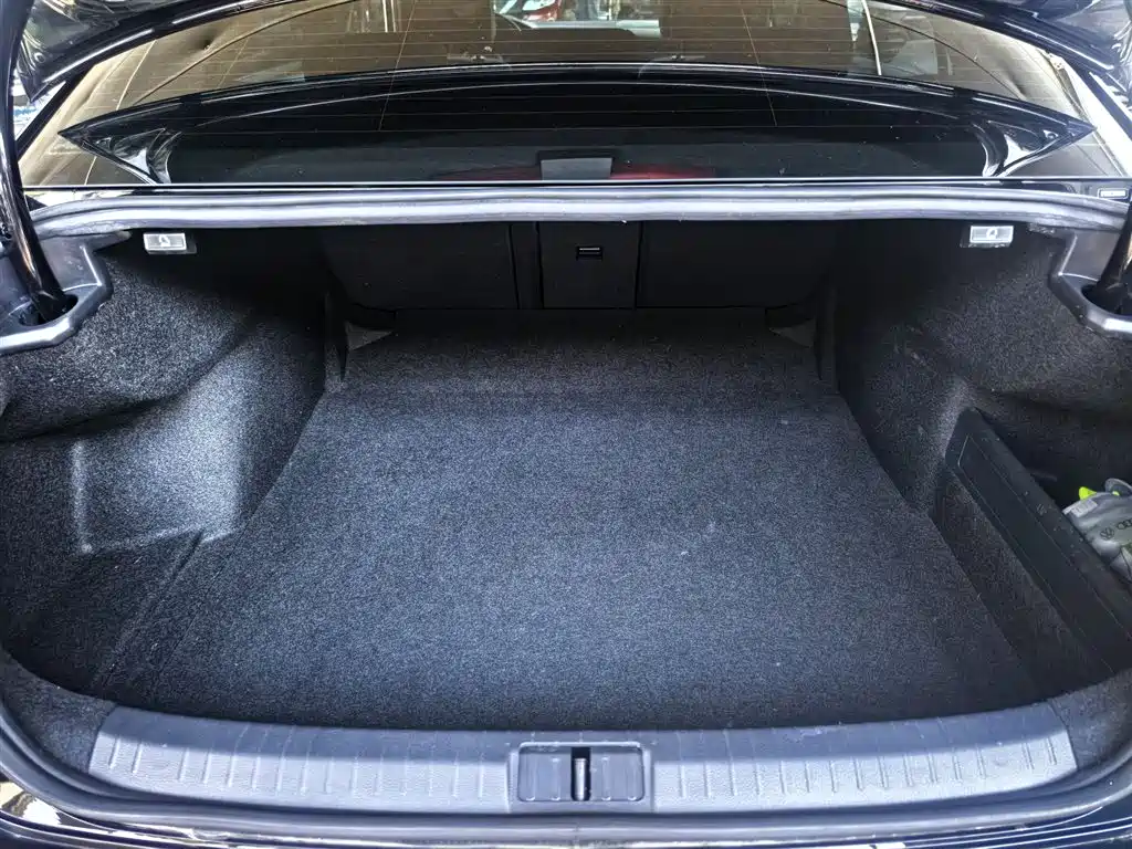 Volkswagen Magotan 2020 330TSI DSG Luxury фото 16