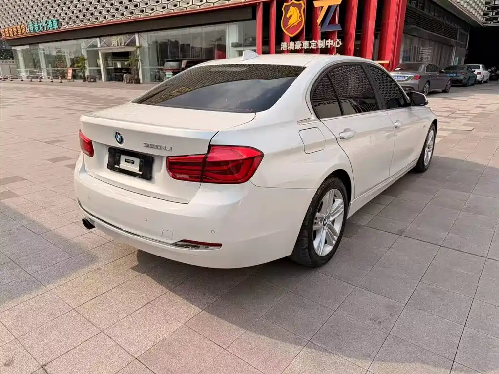 BMW 3 Series 2016 320Li Progressive фото 8