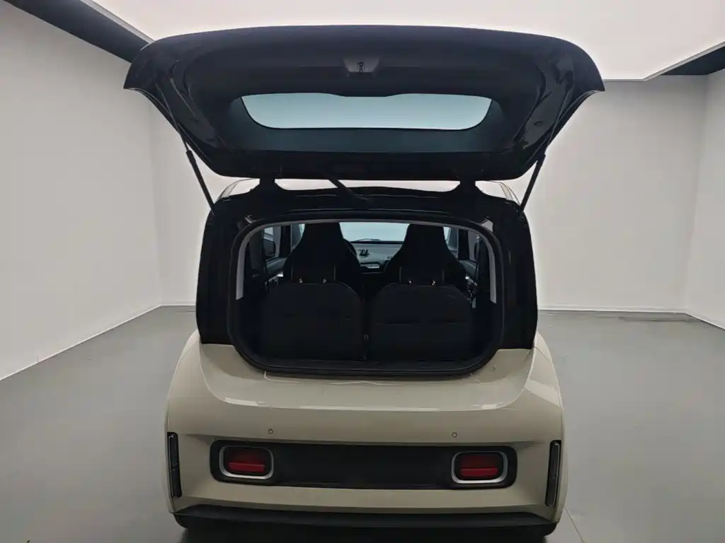 Baojun KiWi EV 2022 2021 Designer NMC