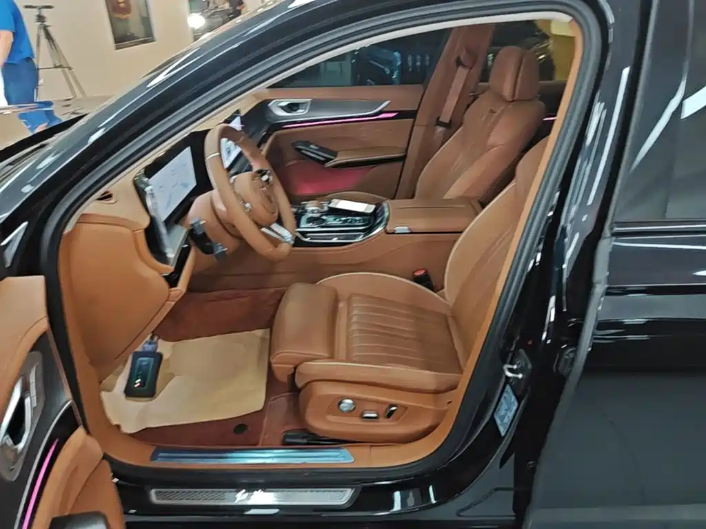 Hongqi H9 2025 2024 2.0T Qi Enjoy Private Fashion Edition