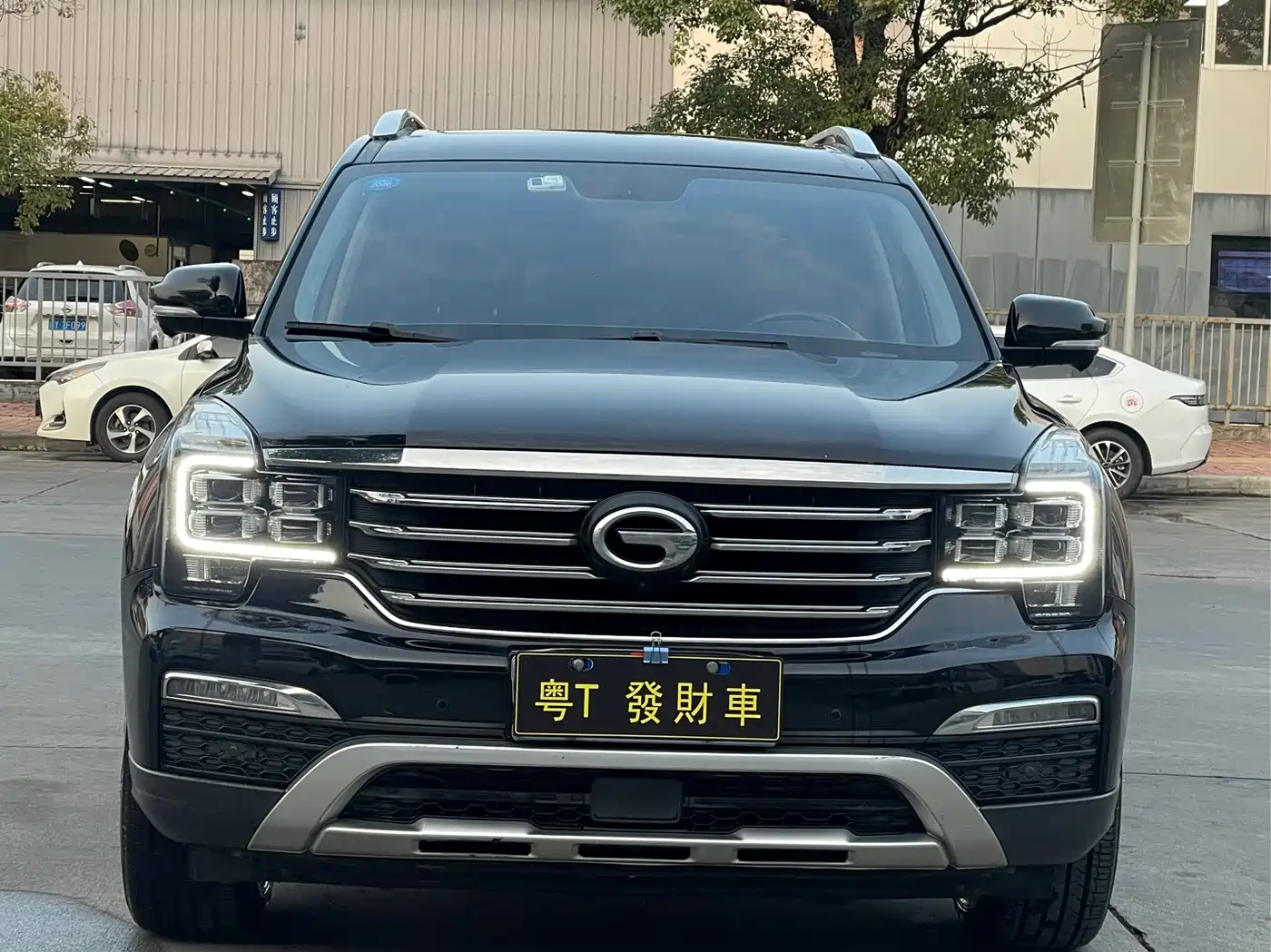 GAC Trumpchi Trumpchi GS8 2017 320T 2WD Luxury Smart Connect (7-seater) фото 2