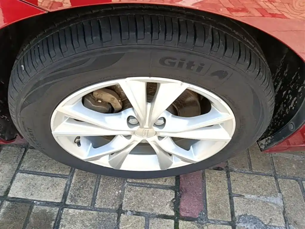 Фото 23 - Geely Borui