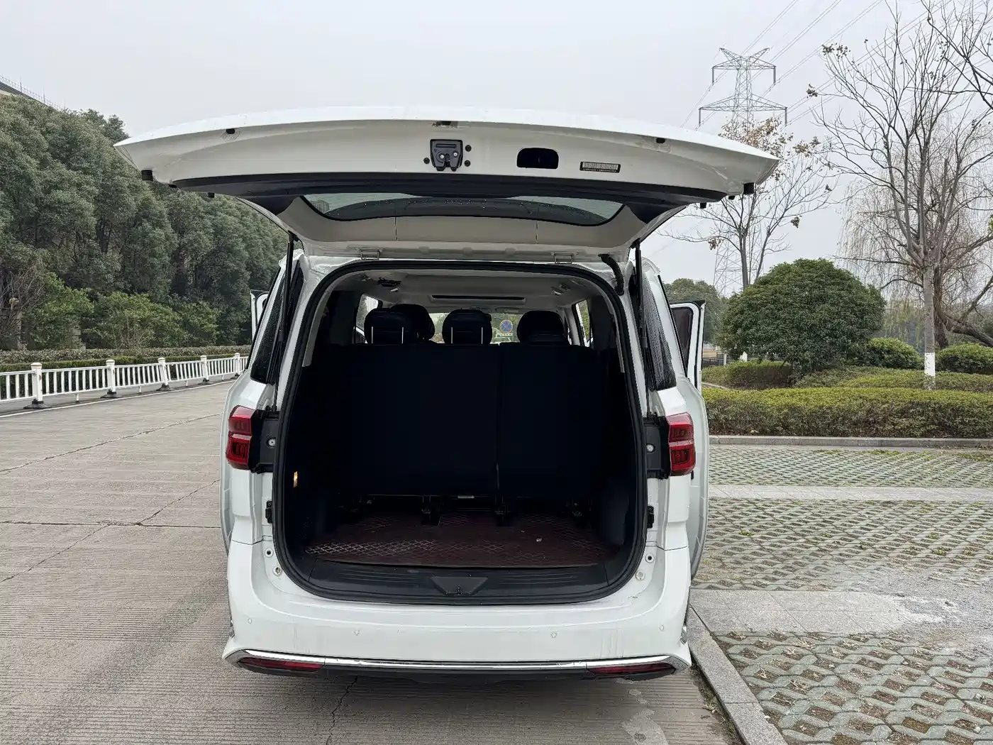 SAIC MAXUS CHASE G20