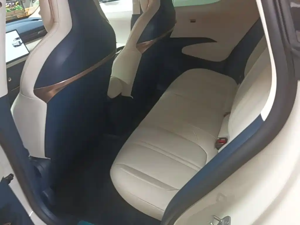 ZEEKR X 2024 2025 5-Seater Long Range Edition
