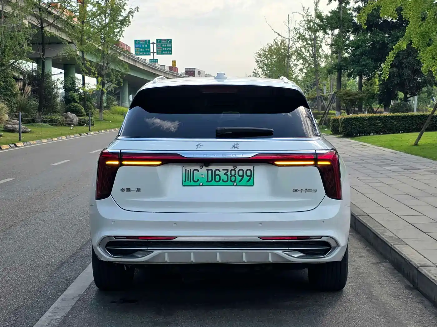 Hongqi E-HS9 2022 2021 460km Flagship Comfort 6-seater