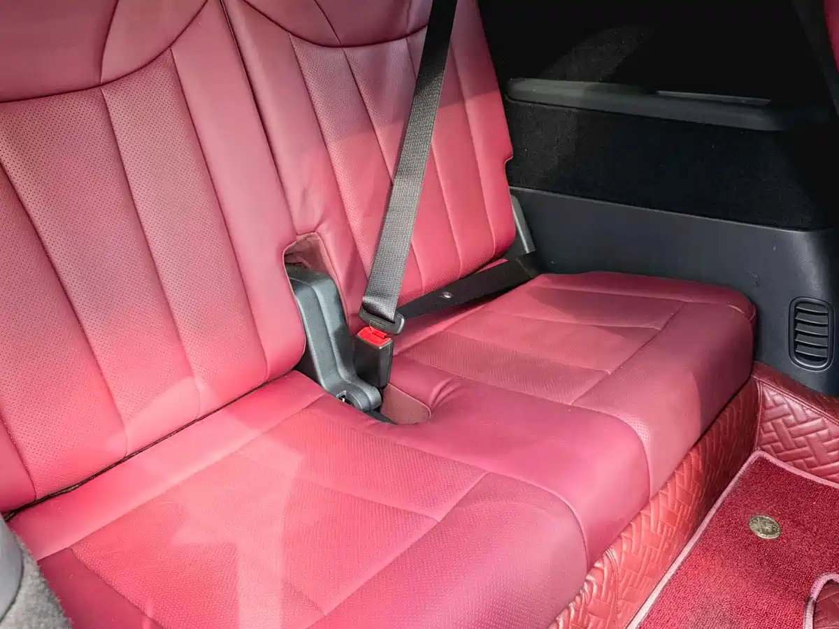 Hongqi E-HS9 2022 2021 460km Flagship Comfort 6-seater