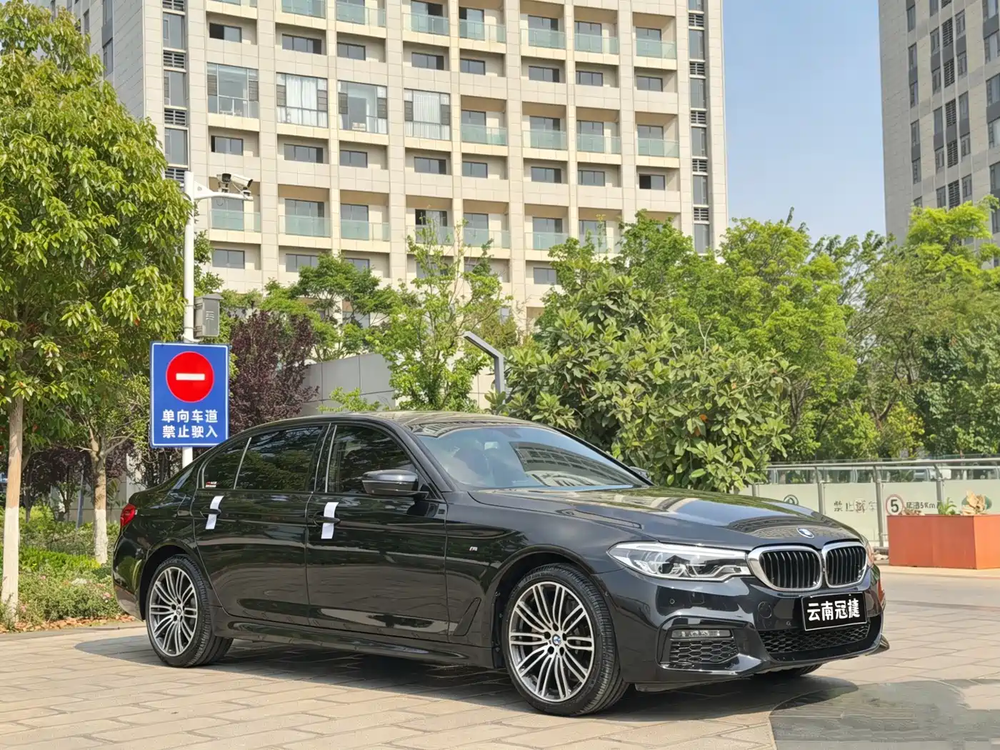 BMW 5 Series 2019 530Li Premium M Sport Package фото 3