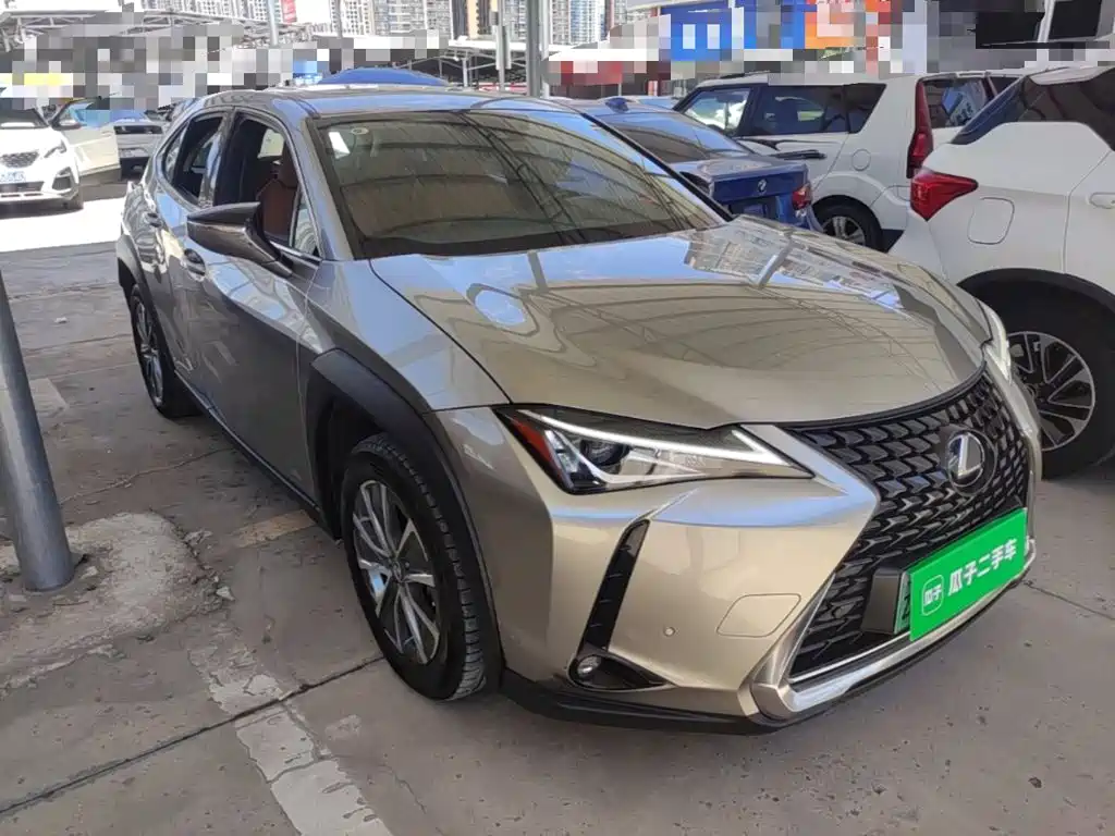 2021 Lexus UX Electric