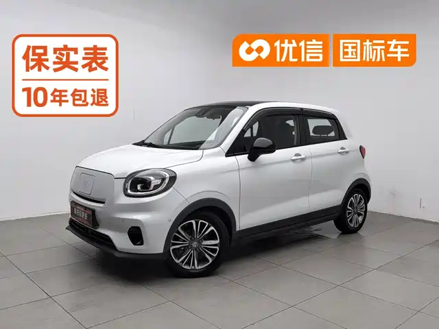  Leapmotor Leapmotor T03 2020 400 Luxury Edition