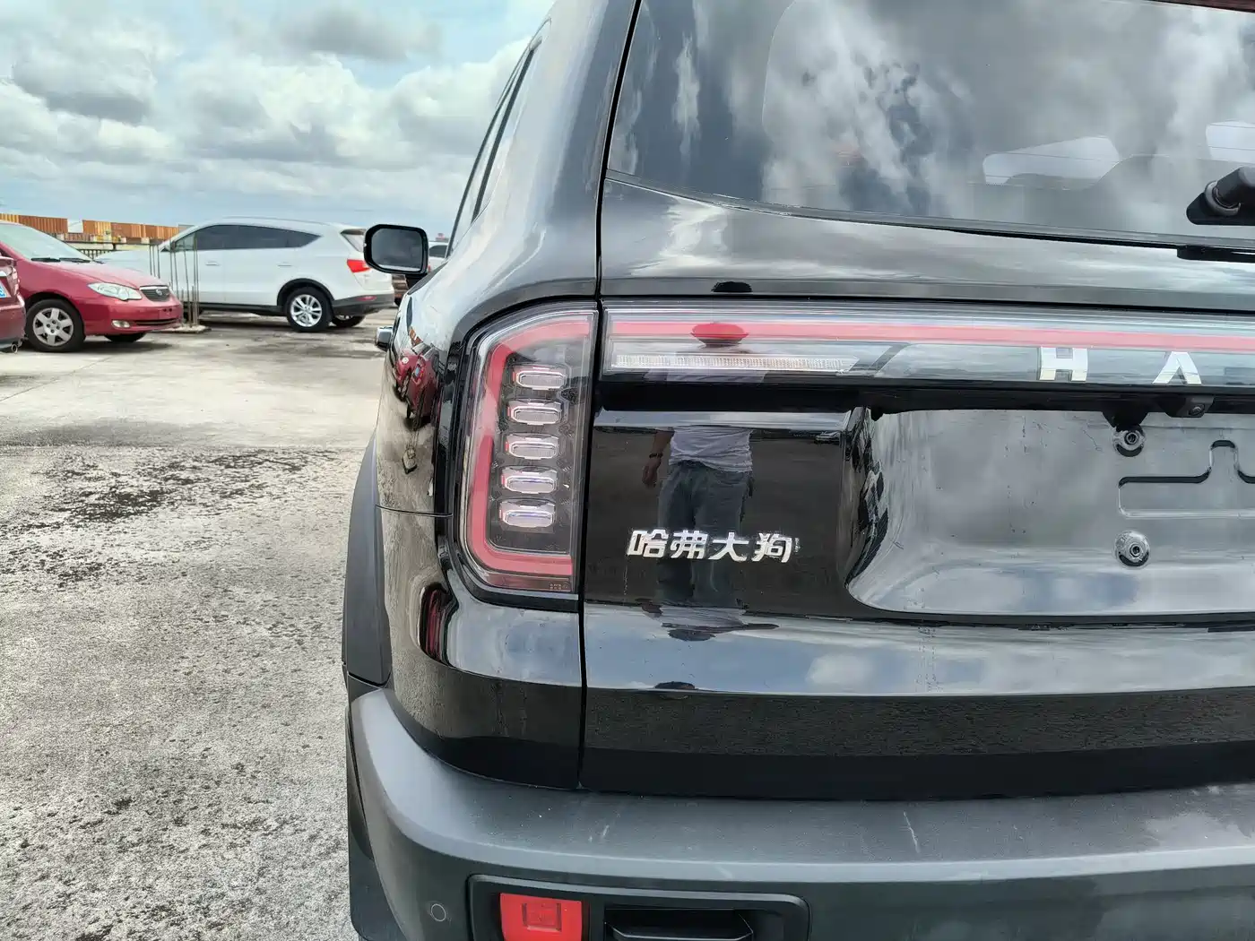 Photo 30 - Haval Big Dog