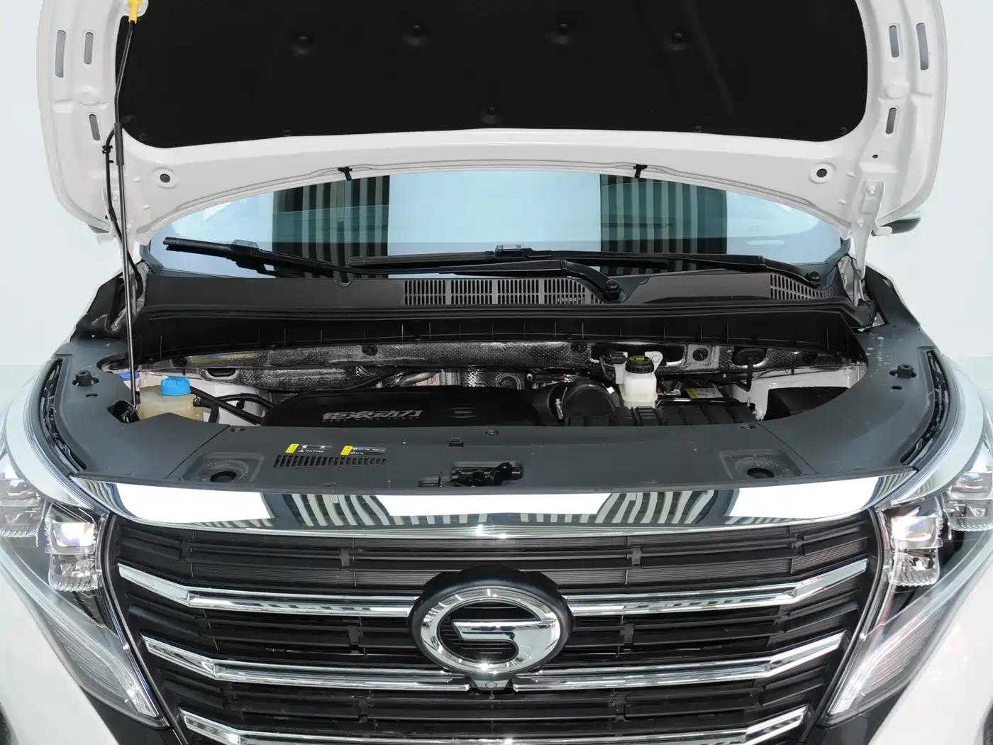 GAC Trumpchi Trumpchi M8 2024 Leadershow Series 390T Luxury Edition фото 6