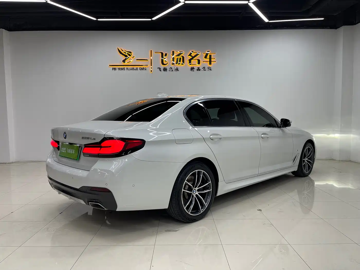 BMW 5 SERIES NEW ENERGY