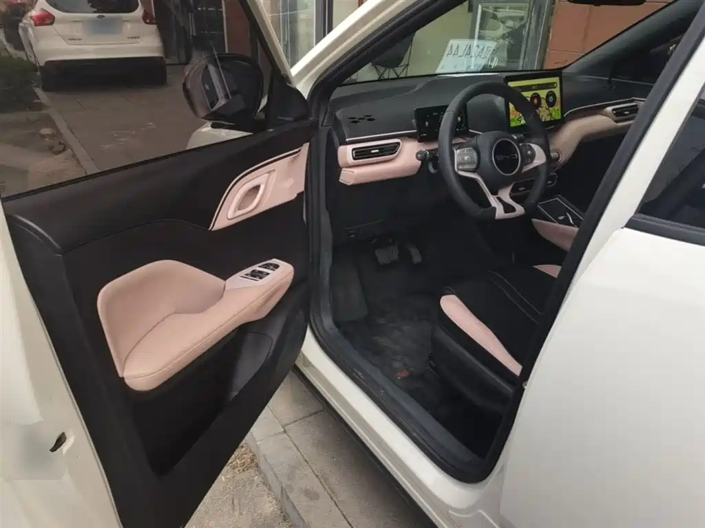 BYD Seagull 2023 Vitality Edition фото 16