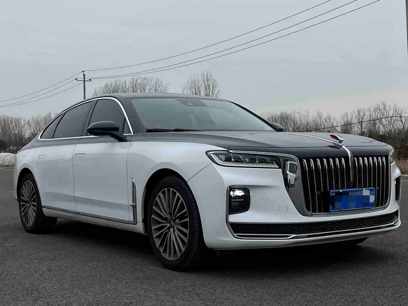 Hongqi H9 2020 2.0T Smart Connection Qi Xiang Edition