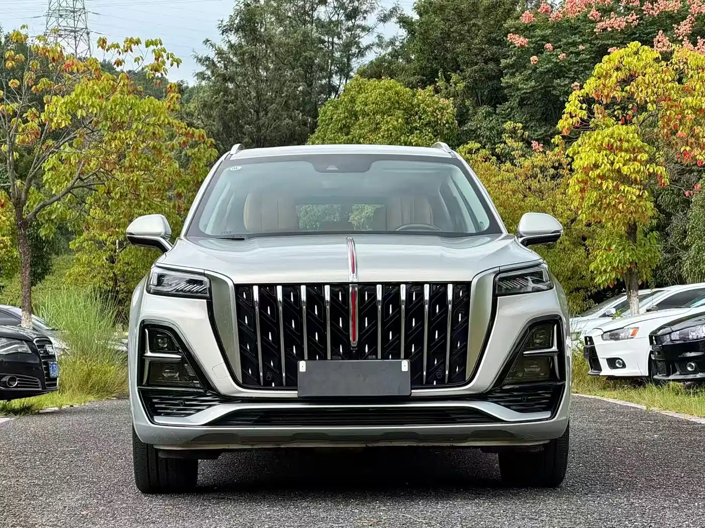 Фото 2 - Hongqi HS5