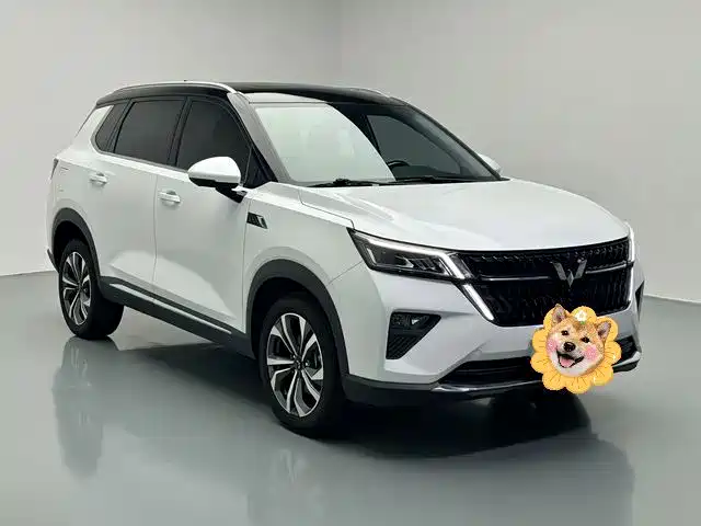 2024 Wuling Motors Wuling Xingchen