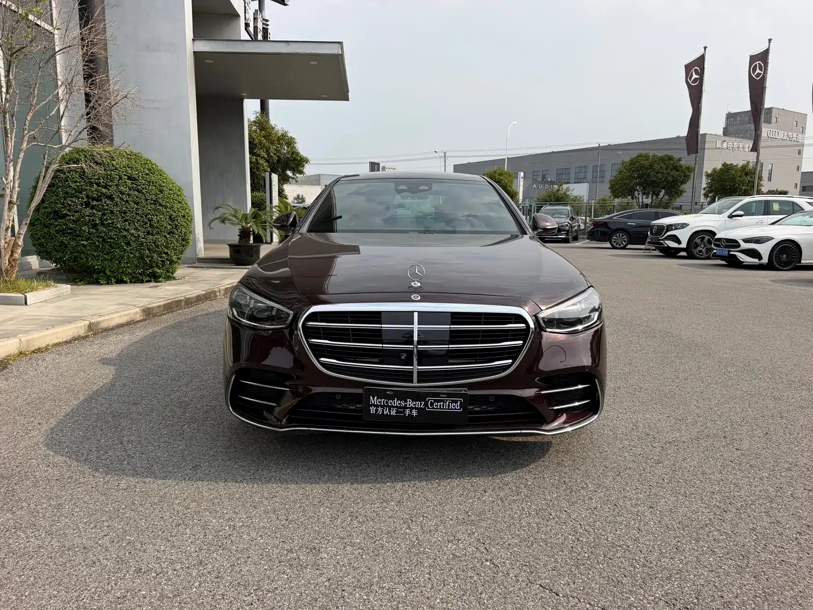 Фото 2 - Mercedes-Benz S-Class
