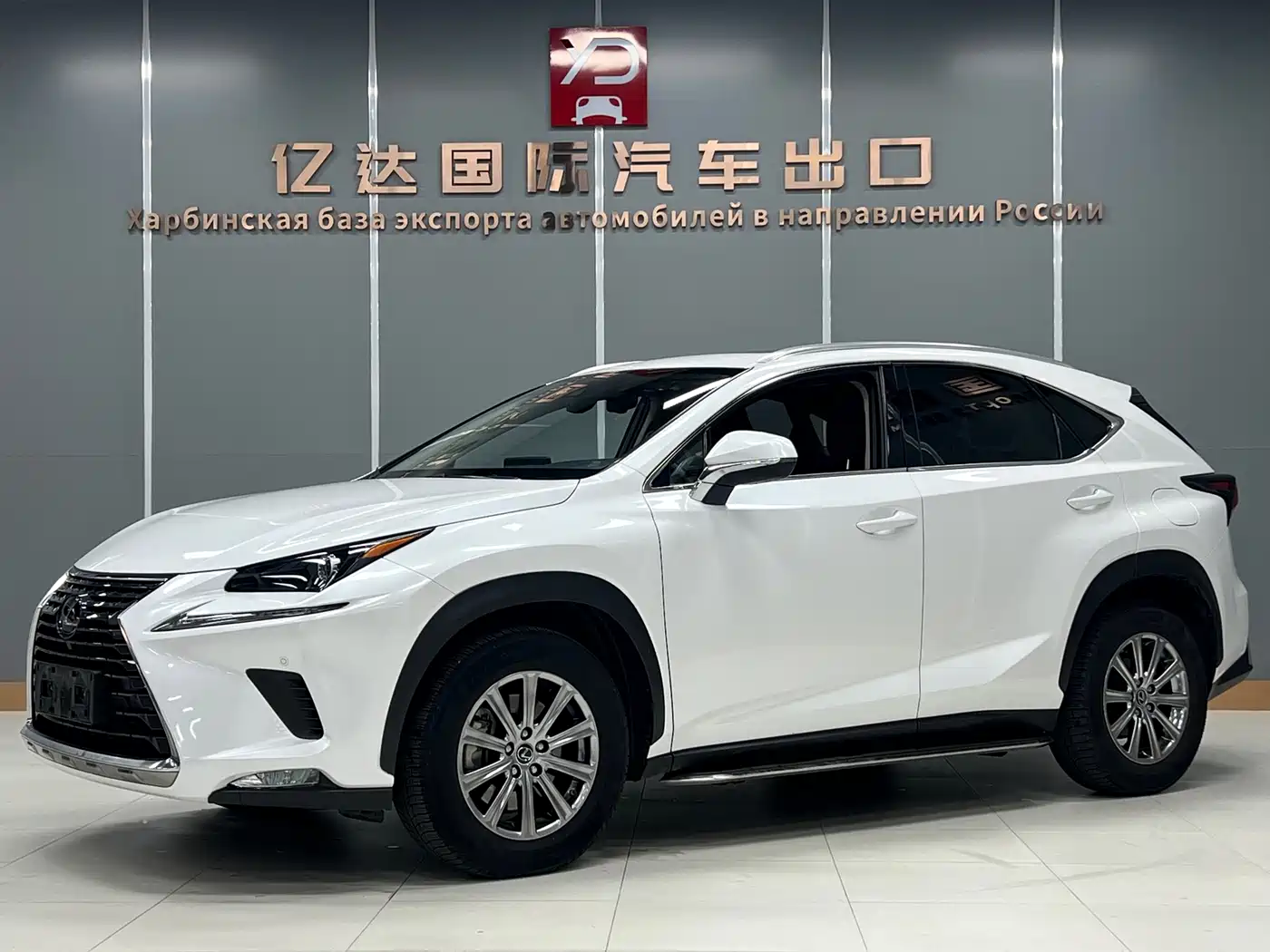 Lexus NX 2020 200 AWD F Sport China V