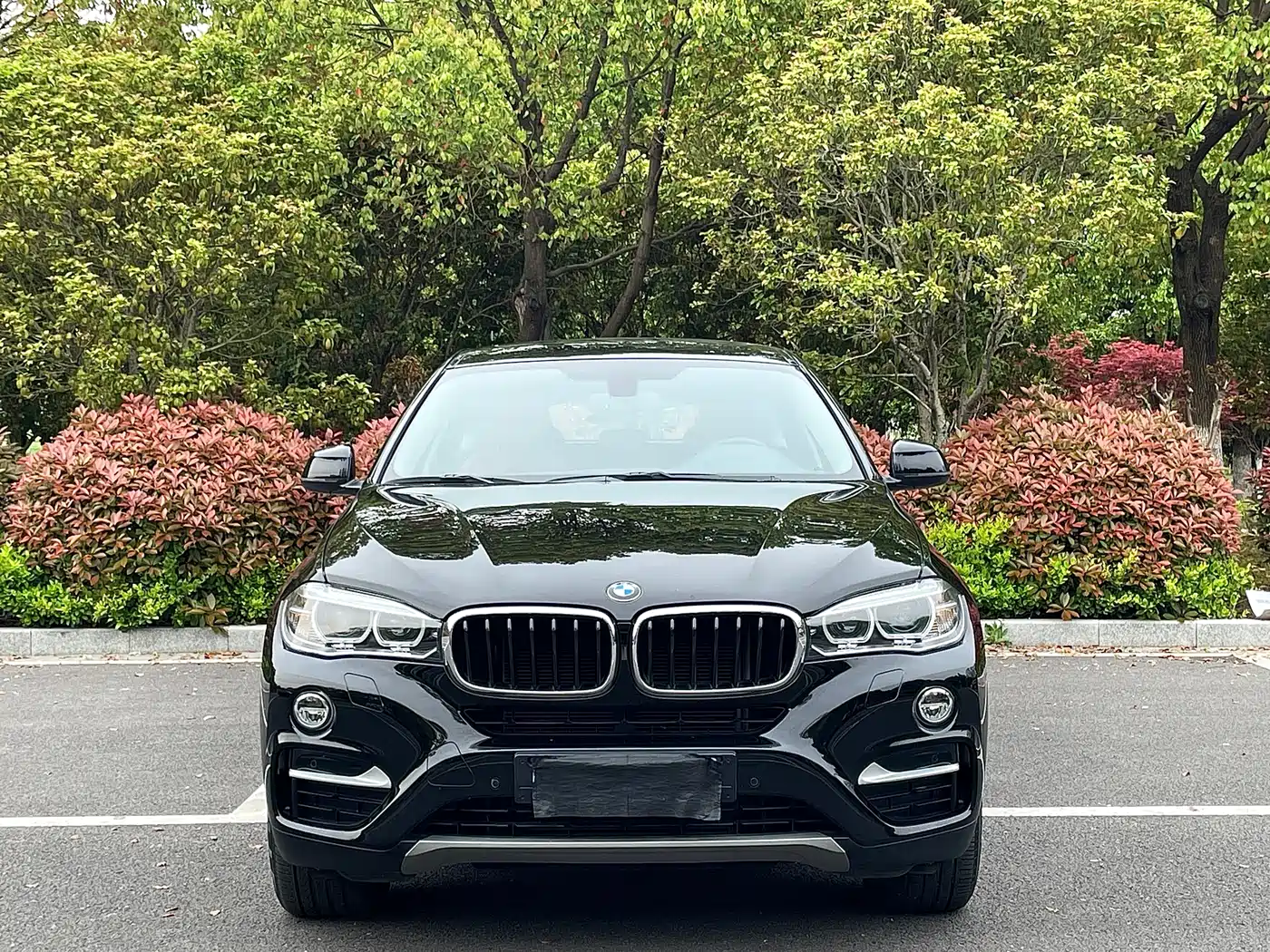 BMW X6 2017 xDrive35i Leading фото 2