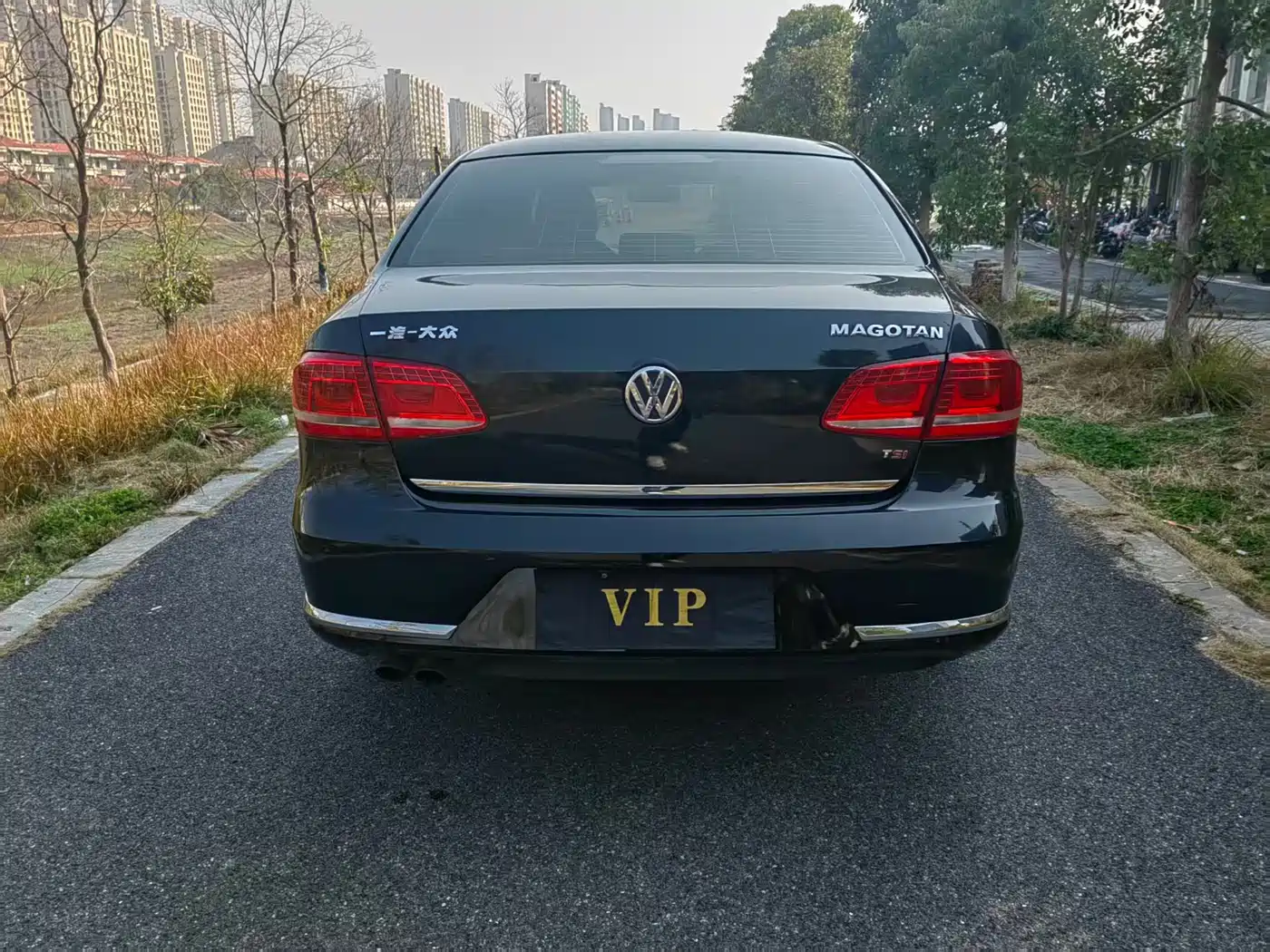 Volkswagen Magotan 2013 1.8TSI Luxury фото 6
