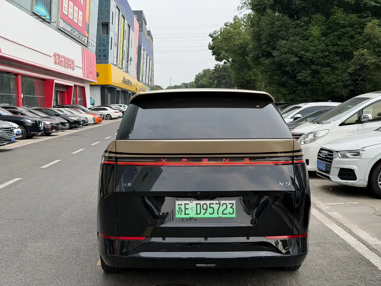 Фото 8 - XPeng X9