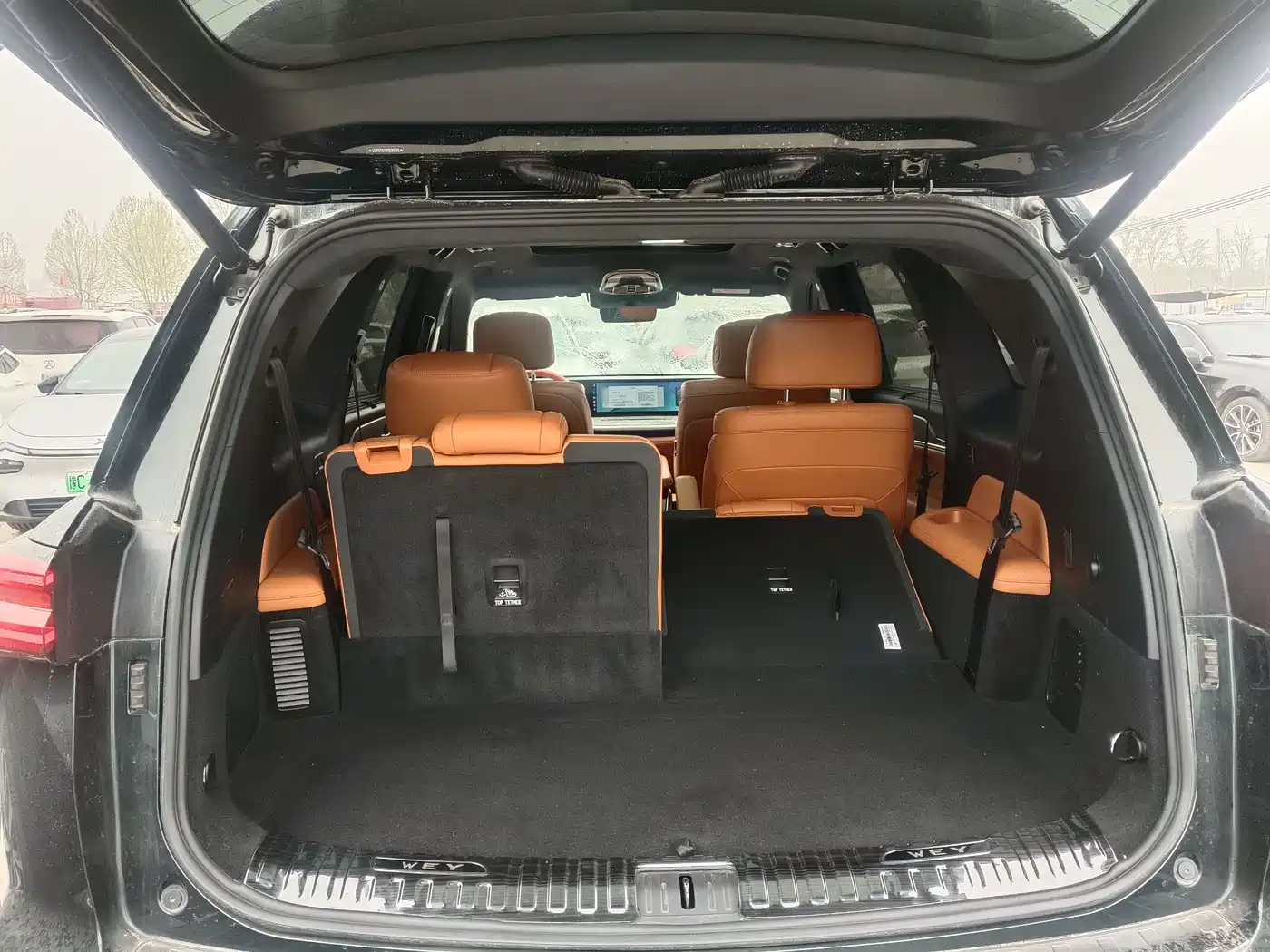 WEI PAI WEI BRAND BLUE MOUNTAIN