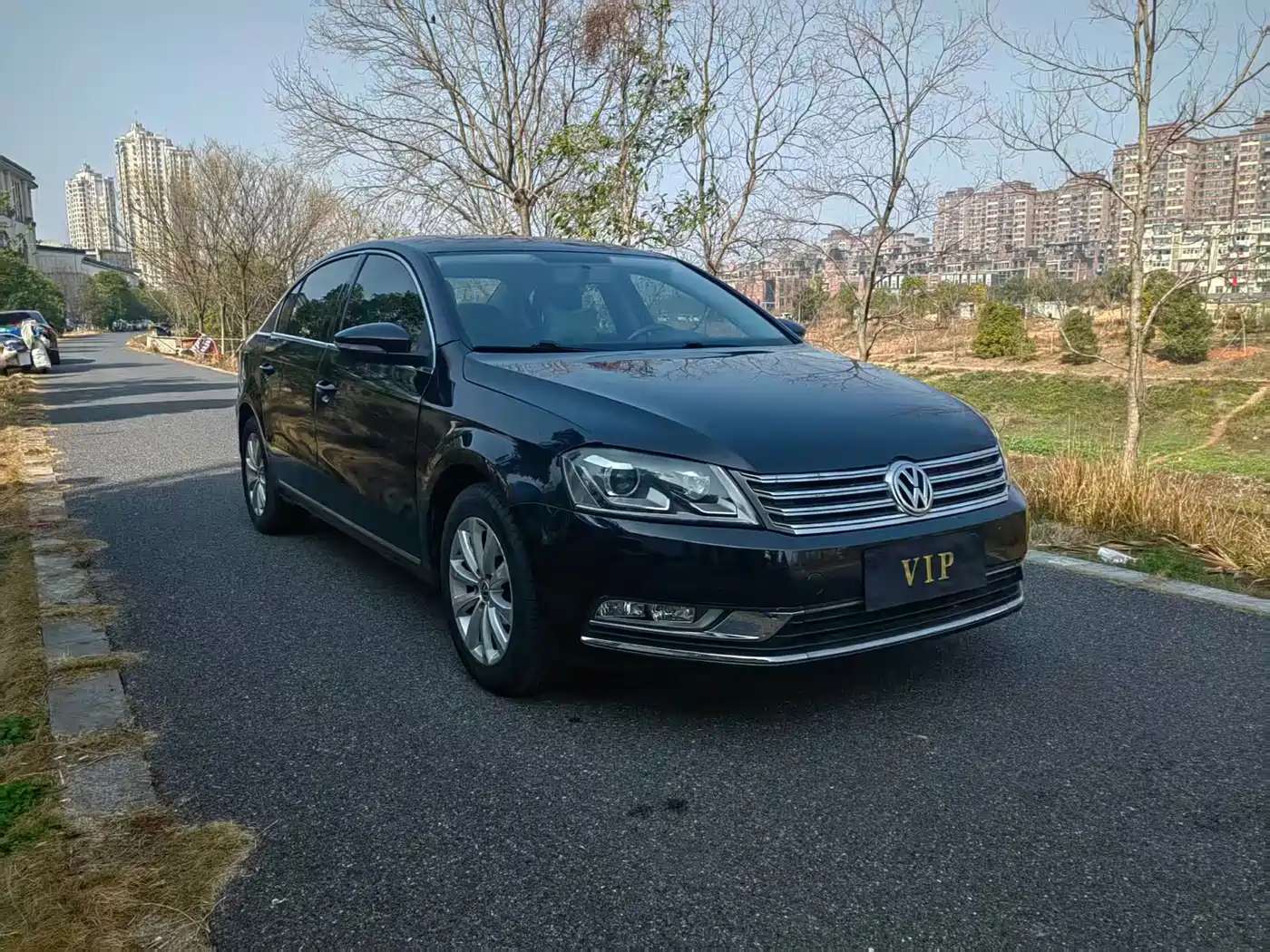 Volkswagen Magotan 2013 1.8TSI Luxury фото 2
